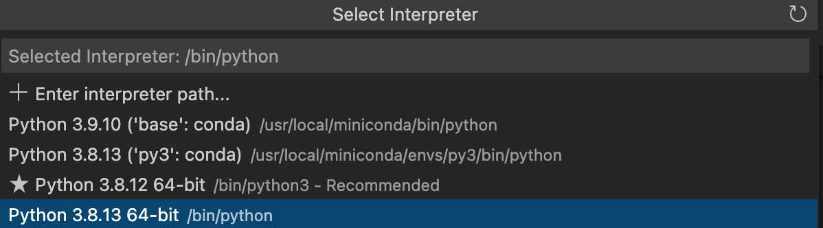 python interpreter